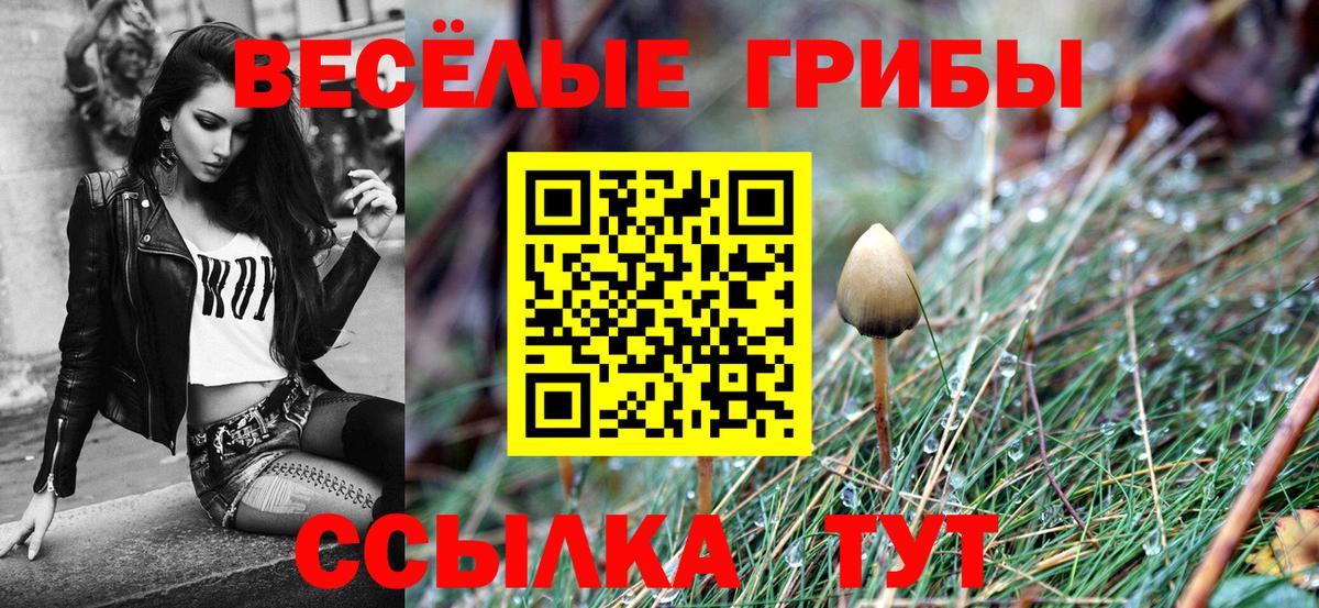 Псилоцибиновые грибы Magic Shrooms  Вход с VPN  Дзержинский  Псилоцибиновые грибы GOLDEN TEACHER 